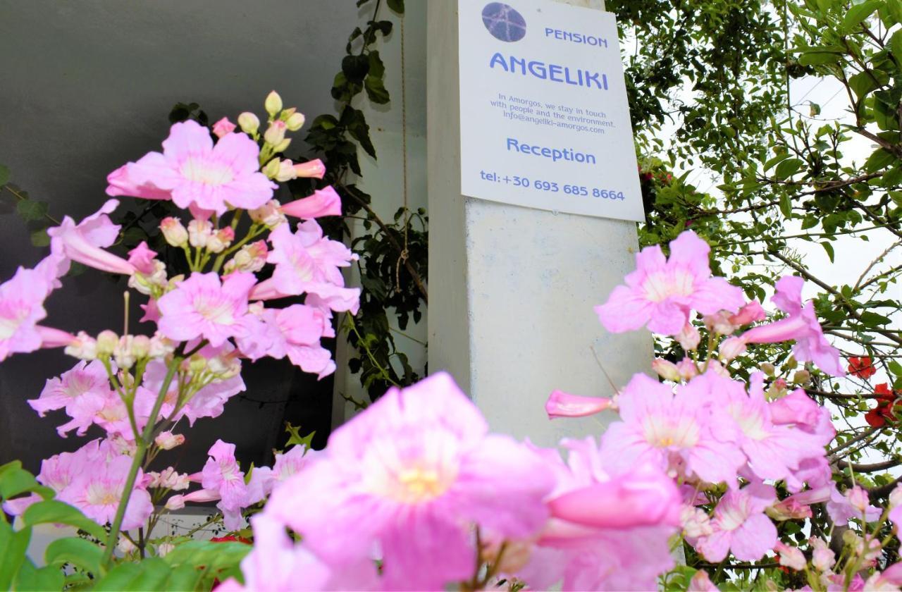 Angeliki Pension كاتابولا المظهر الخارجي الصورة