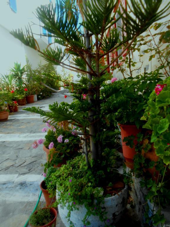 Angeliki Pension كاتابولا المظهر الخارجي الصورة
