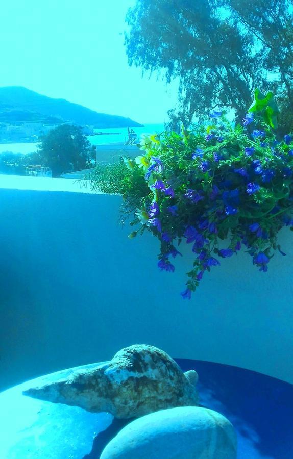 Angeliki Pension كاتابولا المظهر الخارجي الصورة